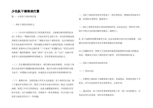 少先队干部培训打算