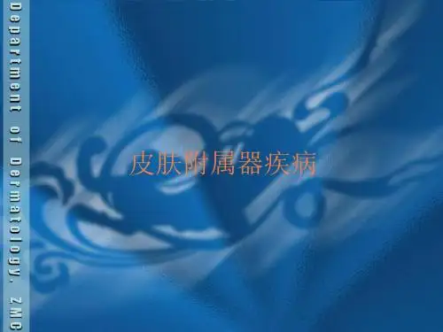 皮肤附属器疾病PPT课件