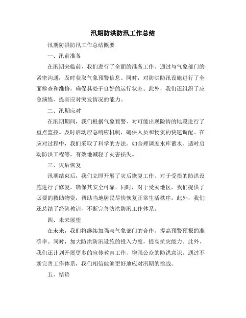 汛期防洪防汛工作总结