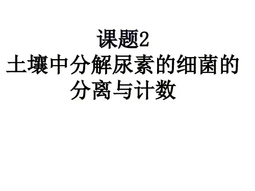 土壤中分解尿素的细菌的分离与计数PPT课件