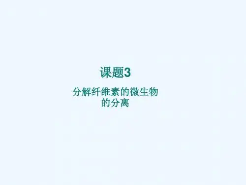 土壤中分解尿素细菌的分离