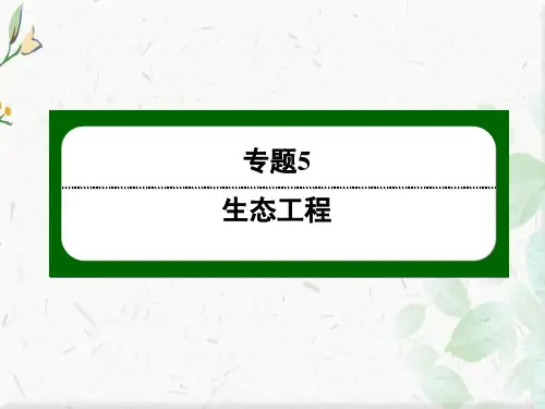 人教版生物选修3作业课件：5-2 生态工程的实例和发展前景