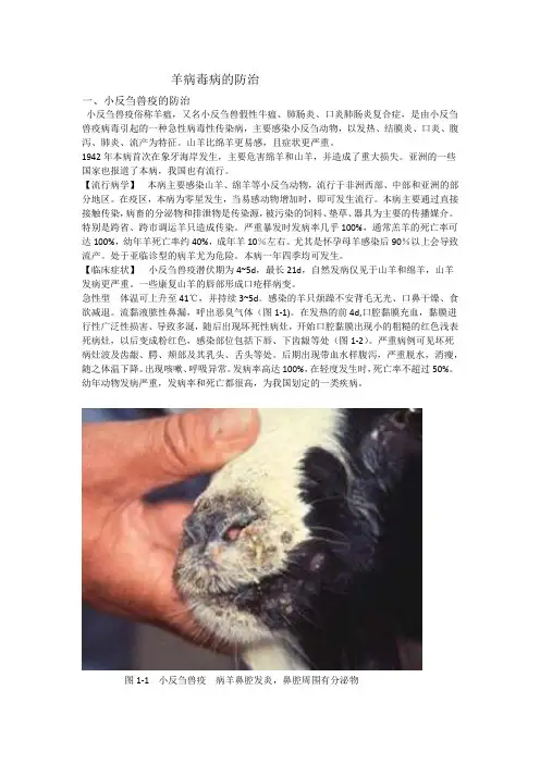 羊病毒病的防治