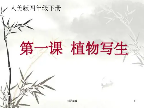 小学美术《植物写生》1ppt课件