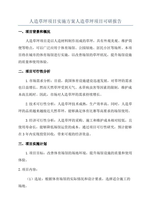 人造草坪项目实施方案人造草坪项目可研报告