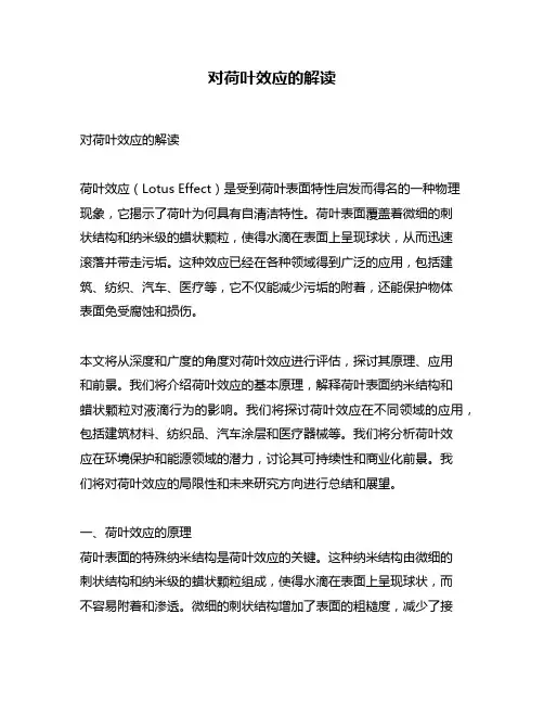 对荷叶效应的解读