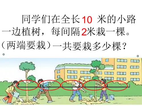 植树问题1(1)