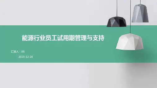 能源行业员工试用期管理与支持