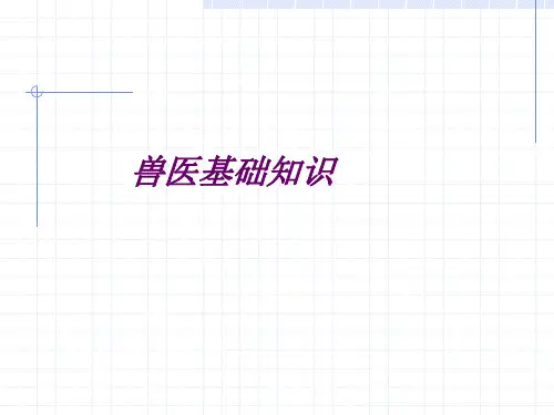 兽医基础知识