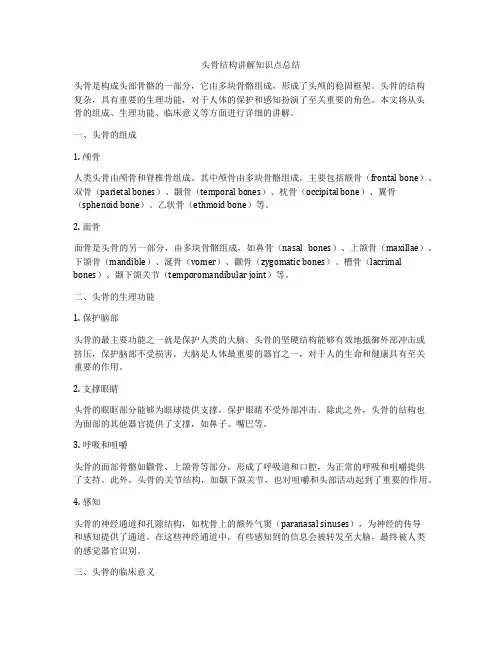 头骨结构讲解知识点总结
