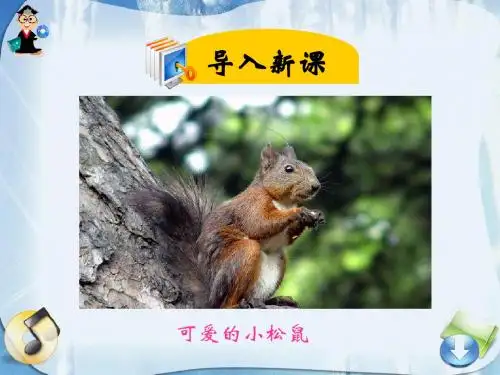 10ppt课件.松鼠和松果ppt课件