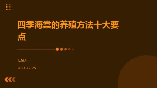 四季海棠的养殖方法十大要点