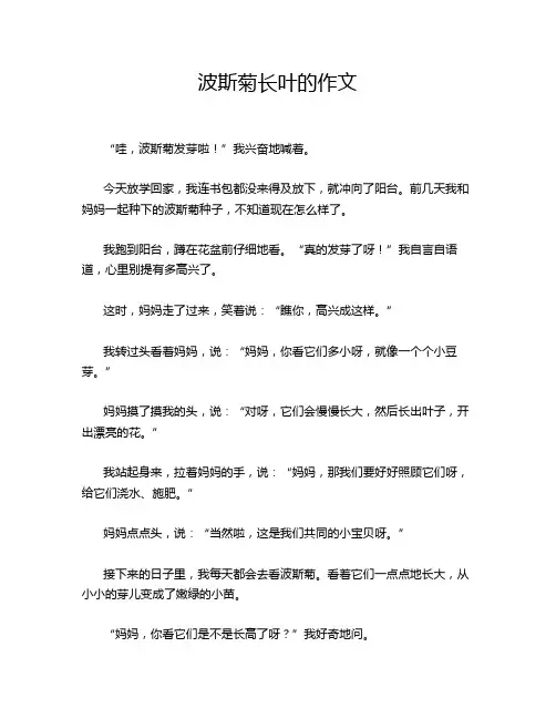 波斯菊长叶的作文