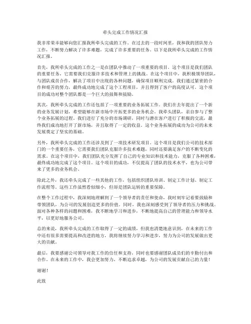 牵头完成工作情况汇报