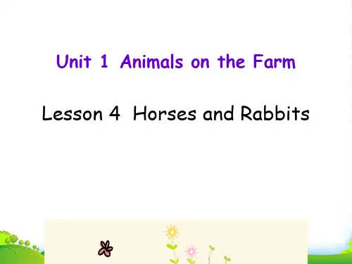 新版英语3Horses and rabbits-课件