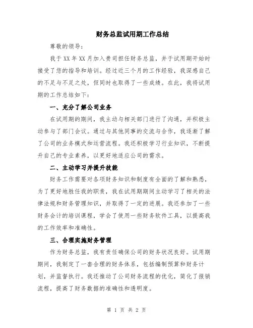 财务总监试用期工作总结