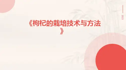 枸杞的栽培技术与方法