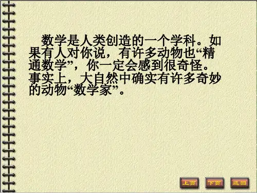 自然界中的数学大师