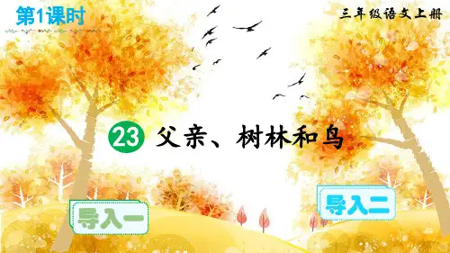【最新】部编版三年级语文上册第23课《父亲、树林和鸟》精美课件