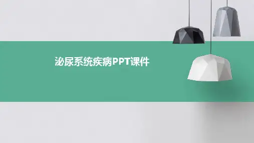 泌尿系统疾病ppt课件