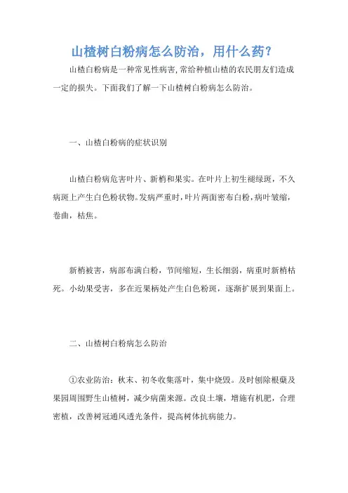 山楂树白粉病怎么防治,用什么药？
