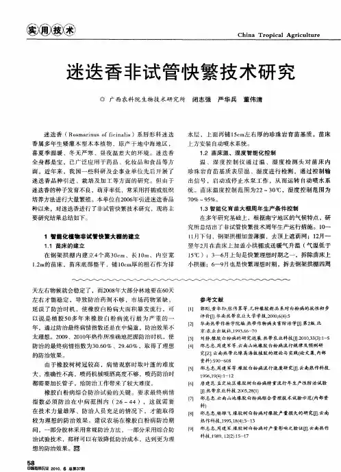 迷迭香非试管快繁技术研究