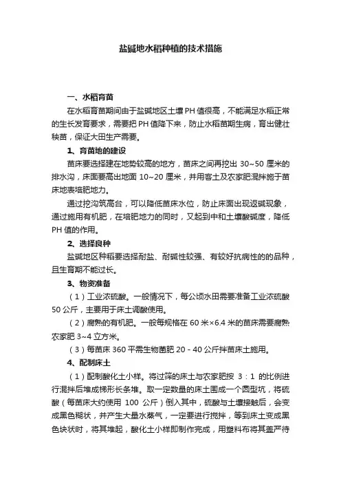 盐碱地水稻种植的技术措施