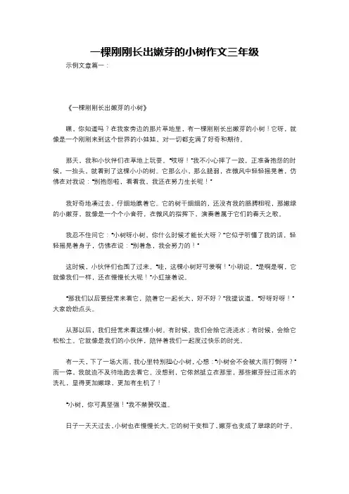 一棵刚刚长出嫩芽的小树作文三年级