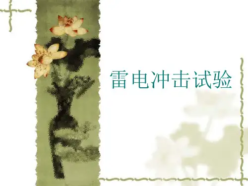 雷电冲击试验资料