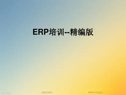 ERP培训精编版