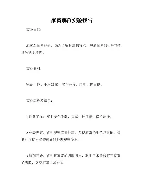 家畜解剖实验报告