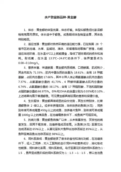 水产致富新品种-黄金鲫