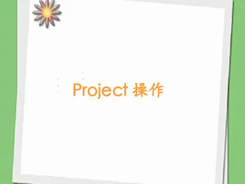 Project_操作 ppt课件