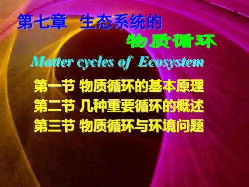 生态系统的物质循环