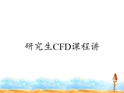 研究生CFD课程讲
