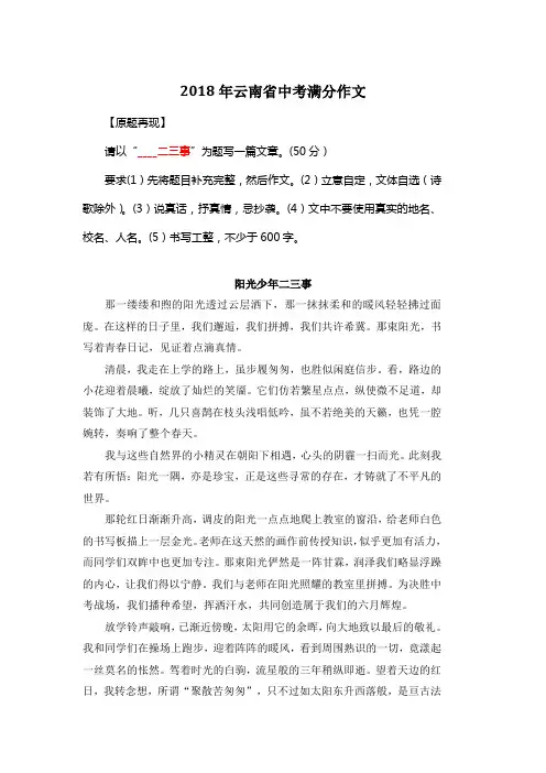 2018年云南省中考满分作文《阳光少年二三事》