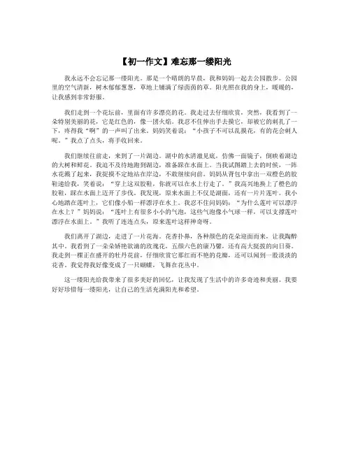 【初一作文】难忘那一缕阳光