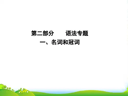 高考英语(外研版)大一轮复习课件语法专题+一、名词和冠词