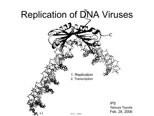 05-病毒学virus巴斯德研究所
