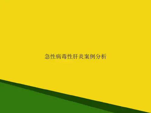 急性病毒性肝炎案例分析-推荐优秀PPT