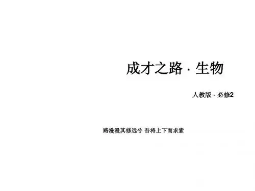 高中生物(人教版,必修2)课件：第6章 第1节 杂交育种与诱变育种