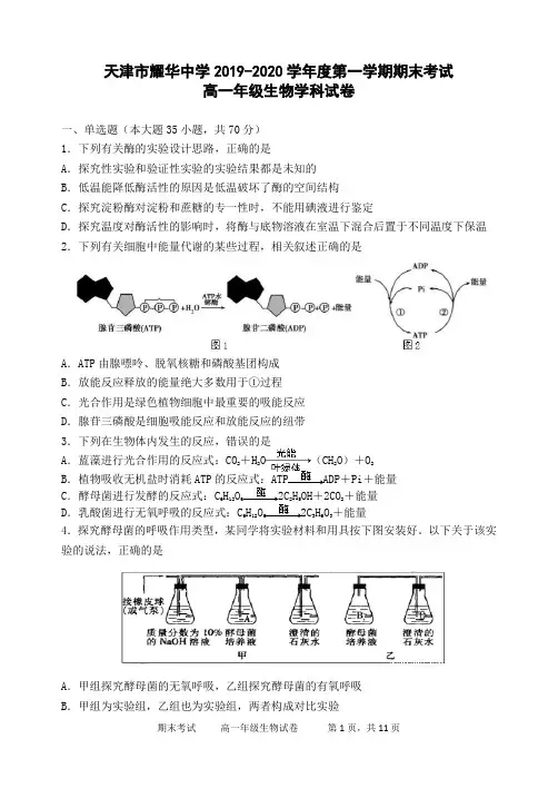 天津市耀华中学2019—2020学年度第一学期期末考试高一生物试题及答案