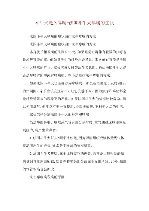 斗牛犬走久哮喘-法国斗牛犬哮喘的症状
