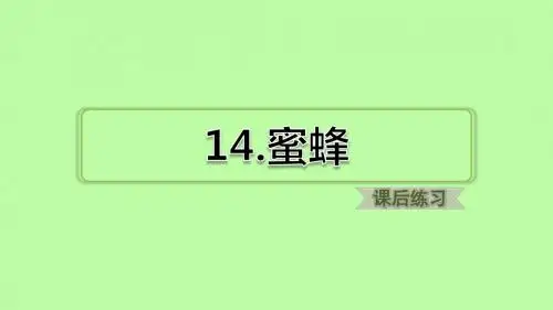 部编版三年级语文下册 第14.蜜蜂  +15.小虾  典中点习题(课后练习)课件