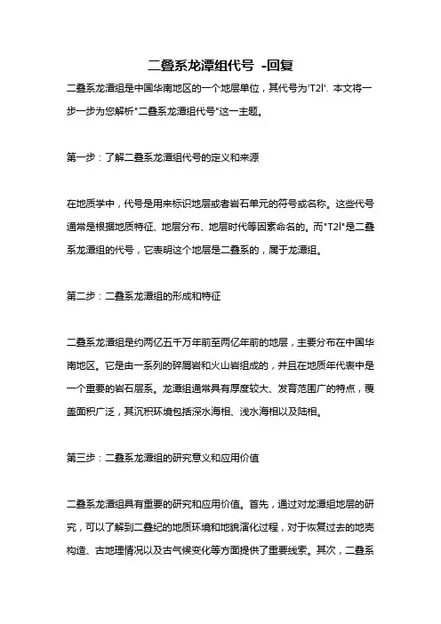 二叠系龙潭组代号 -回复