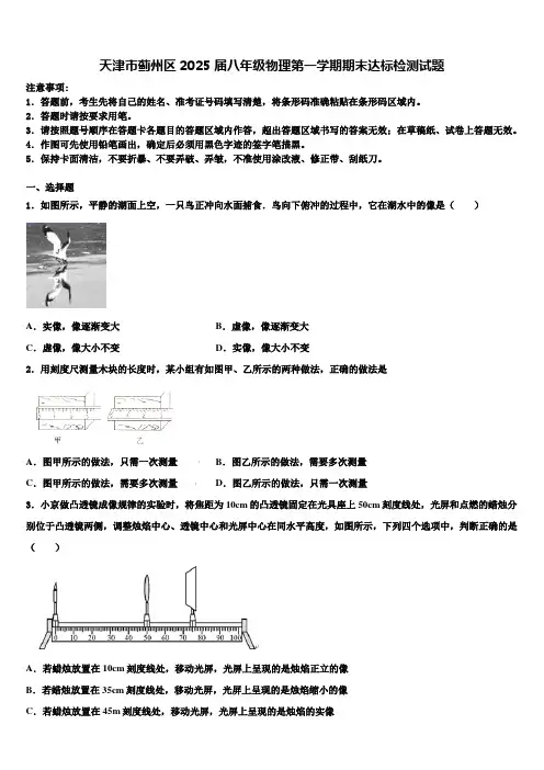 天津市蓟州区2025届八年级物理第一学期期末达标检测试题含解析