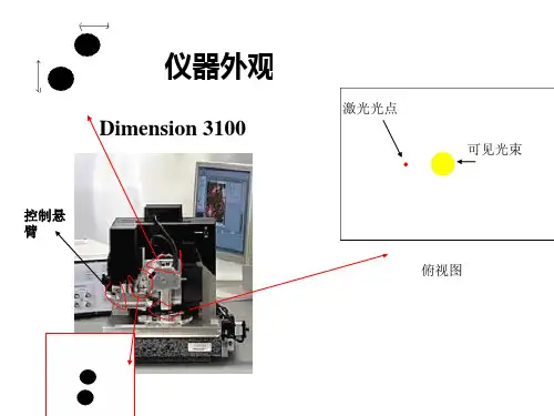 AFM Dimension 3100 操作步骤