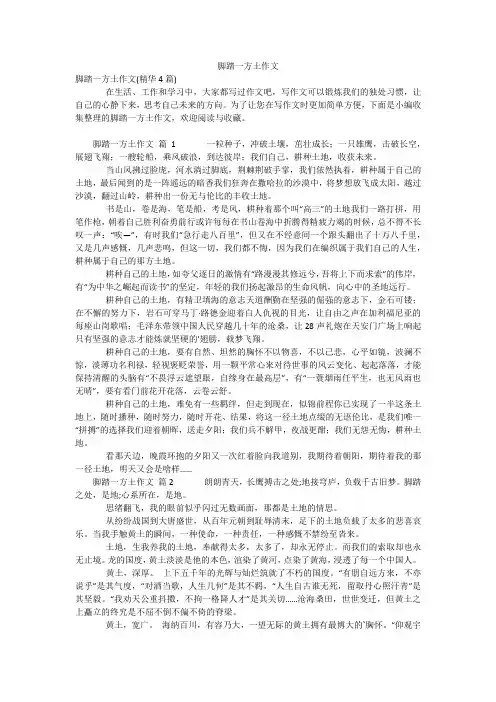 脚踏一方土作文_1