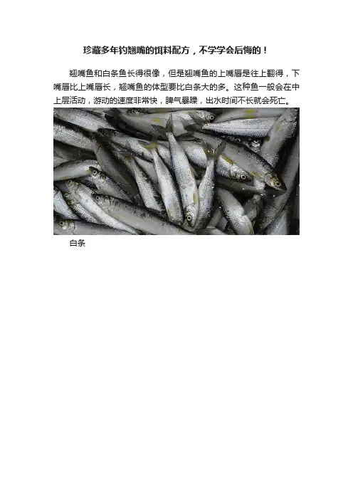 珍藏多年钓翘嘴的饵料配方，不学学会后悔的！
