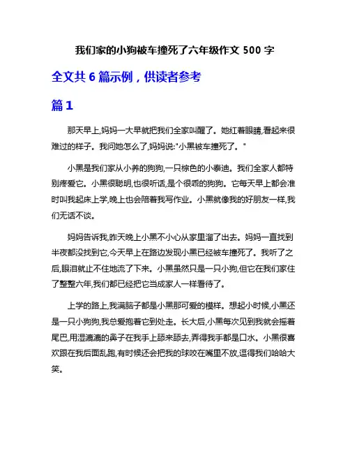 我们家的小狗被车撞死了六年级作文500字
